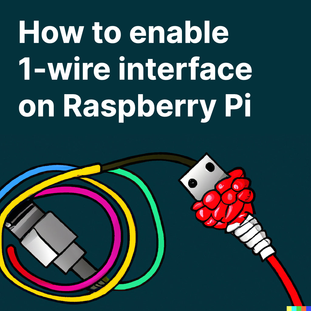 How to turn on 1-wire support on the Raspberry Pi
