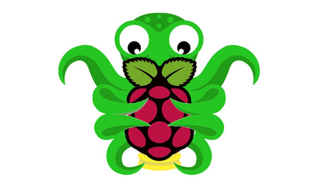 A Comprehensive Guide to Setting Up OctoPrint on Raspberry Pi