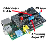 RasPiO® Duino